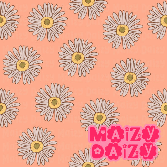 Orange daizies
